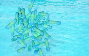 legionella