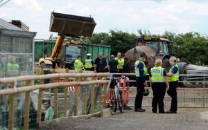 drunk_tractor_driver