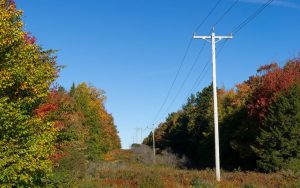 electricity power lines